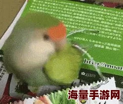 教练 你好大 轻点 作文：在运动场上与教练的互动与成长体验分享
