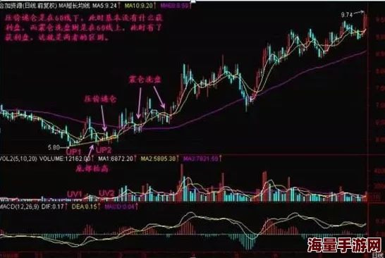 娇小小小泬BBBB：探讨其在当代文化中的影响与流行趋势，分析其背后的社会心理与审美取向