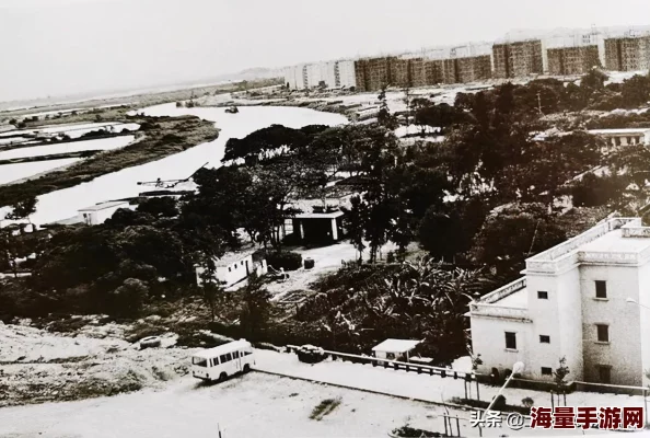 云悠悠坐钢筋，畅谈现代建筑中的钢筋应用与结构设计的创新与挑战，解析其对城市发展的影响与未来趋势