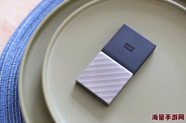 13岁macbook高清：网友热议这款老旧设备的性能与使用体验，是否还能满足现代需求？