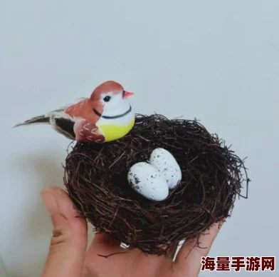 Elin的独特孵蛋过程：揭秘其神秘而有趣的孵化方法