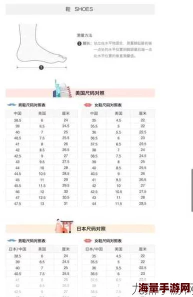 欧洲尺码日本尺码专线软件迎来重大更新，新增多种尺码转换功能与用户体验优化！