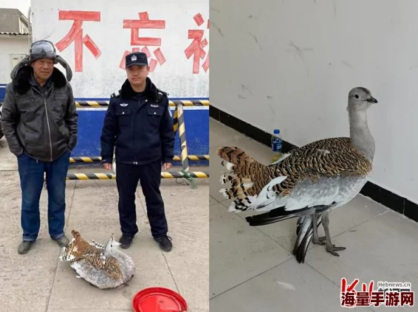 特-黄-色-一级片：最新动态揭示了该领域的趋势与变化，观众反响热烈，引发广泛讨论与关注