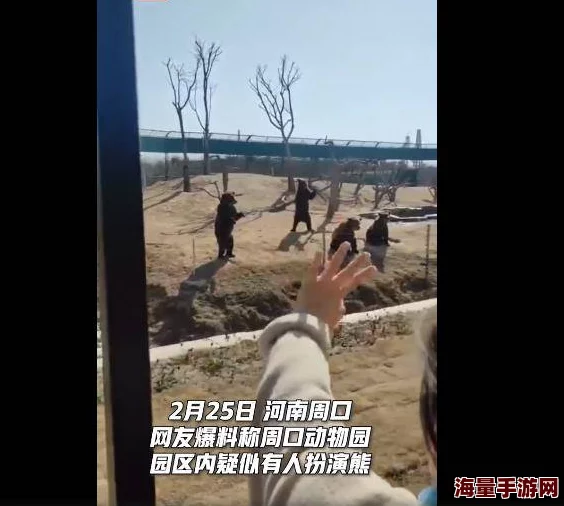 日本zozo人禽另类交事件引发广泛关注，网友热议其背后的社会现象与伦理问题