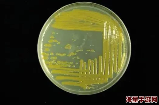 铜铜铜铜铜好深板有病毒吗？最新研究显示该材料在特定条件下可能存在微生物污染风险，需加强防护措施