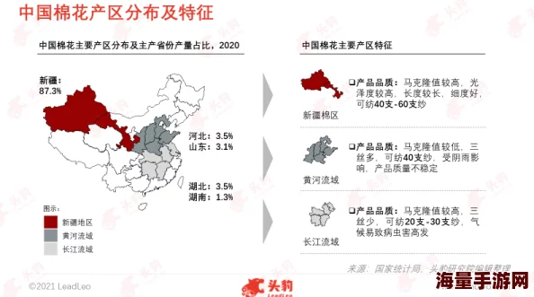 99精产国品一二三产区NBA：分析中国各大产区的优质产品及其在NBA市场中的表现与影响力
