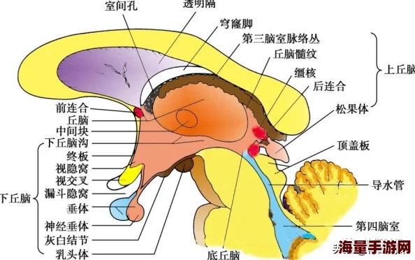 全面掌握连线不交叉游戏技巧：高效攻略与策略指南