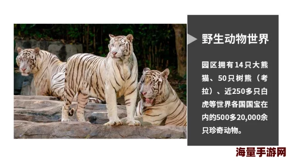 欧美人与动物的惊人互动:揭开背后不为人知的秘密与奇妙故事,震撼你的想象力! 欧美人与动物的惊人互动:揭开背后不为人知的秘密与奇妙故事,震撼你的想象力!