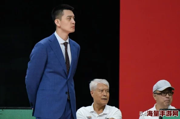 王者荣耀隐藏战绩后，是否有合法途径可以查询其战斗记录？