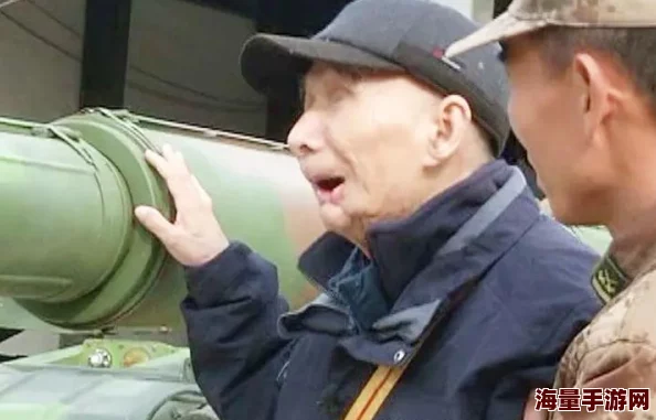 王者荣耀隐藏战绩后，是否有合法途径可以查询其战斗记录？