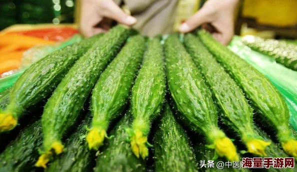 五一吃瓜网：在假期中如何选择健康美味的水果，提升你的饮食体验与生活品质
