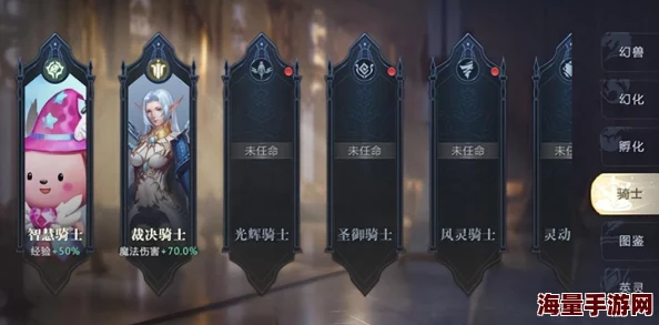 DNF女骑士职业中哪个最适合高效搬砖的攻略指南