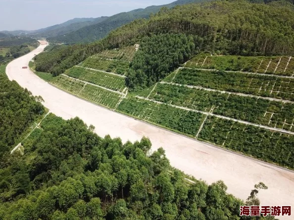 大伊香蕉精品视频在线75：最新动态显示该平台持续更新内容，吸引了大量用户关注与互动，成为热门视频分享网站