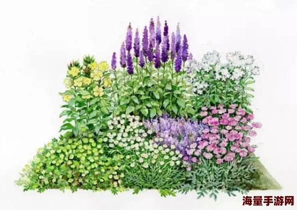 日韩高清精品无码：最新动态与精彩内容分享，带你领略不一样的视听盛宴与文化魅力！