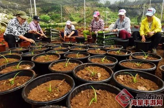 污污视频在线看：最新动态揭示了平台内容更新频率加快，用户互动性增强，吸引更多观众关注与参与