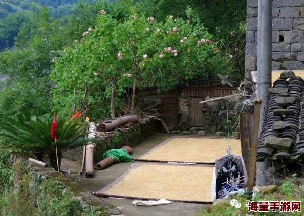 秋霞宅宅236理论片：最新动态显示该影片在网络平台上的观看量持续攀升，观众反馈热烈，引发广泛讨论