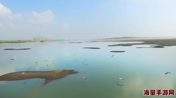 观测枢特别世界任务纪实——今天是满怀期待吃鱼的美好心情日