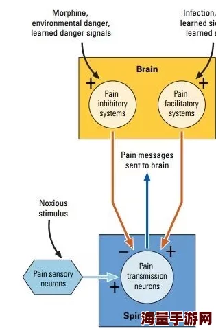 啊啊啊好痛：最新研究揭示慢性疼痛的生物机制及其潜在治疗方法，或将改变患者生活质量