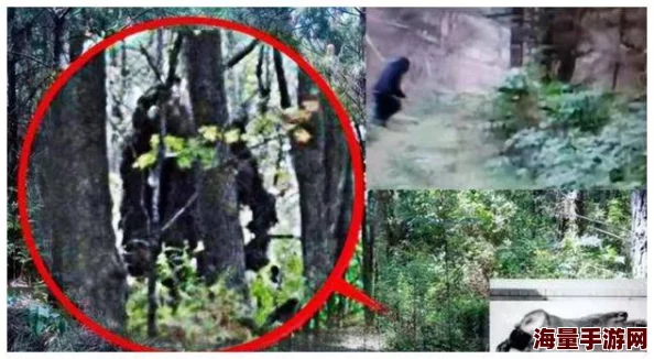 伊人久久网国产伊人：震惊！全网热议的神秘事件背后竟隐藏着不为人知的真相，网友们纷纷表示难以置信！