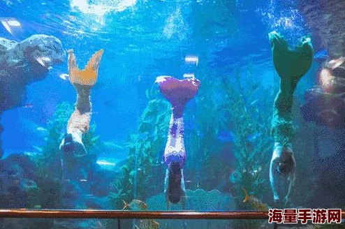 创造与魔法游戏指南：美人鱼服装制作大全及美人鱼、气泡坐标详解