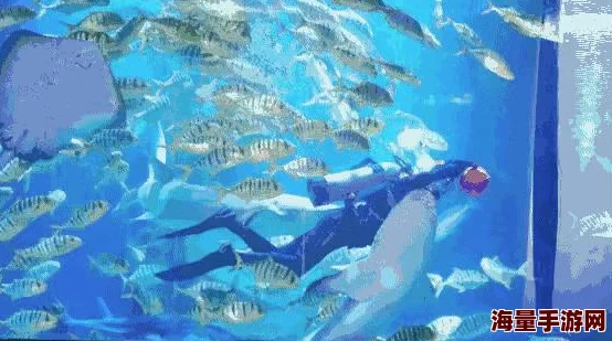 创造与魔法游戏指南：美人鱼服装制作大全及美人鱼、气泡坐标详解