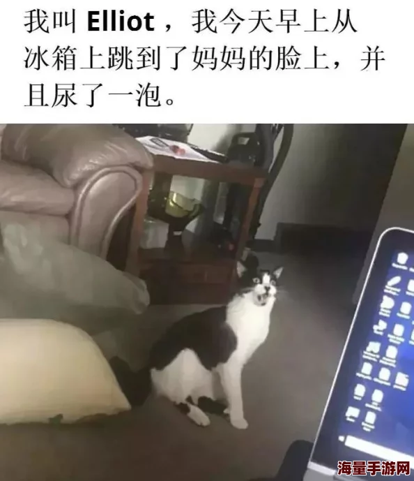 轻点呻吟耸动炕上被窝：近日，网络热议这一话题，引发众多网友分享各自的看法与体验，讨论氛围火热
