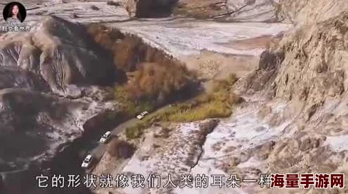 “亚洲精品456”震惊全国，数百人因神秘事件集体失踪，真相令人毛骨悚然！