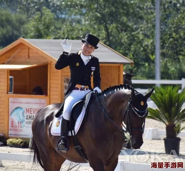 风云岛行动实战攻略:高效策略应对骑马敌人,制胜技巧全解析 风云岛行动实战攻略:高效策略应对骑马敌人,制胜技巧全解析