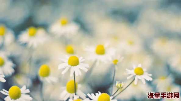 畅享草草久久97超级碰碰碰免费体验,感受无限乐趣与激情的完美结合 畅享草草久久97超级碰碰碰免费体验,感受无限乐趣与激情的完美结合