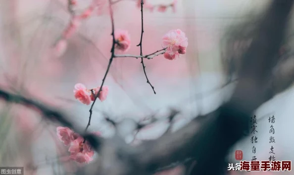 《明日之后》游戏攻略：特殊道具全汇总及获取方式，附详细地图NPC赠予奖励指南