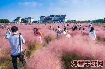 亲子乱子伦视频播放引发社会关注，相关部门加强监管措施以保护未成年人安全与隐私权利