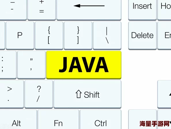 Java成熟分类的最新进展与未来发展趋势分析，助力开发者更好地理解和应用Java技术