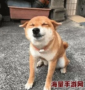天天摸天天舔，网友纷纷表示这种行为过于亲密，可能会引发误解和不适，希望大家注意社交礼仪