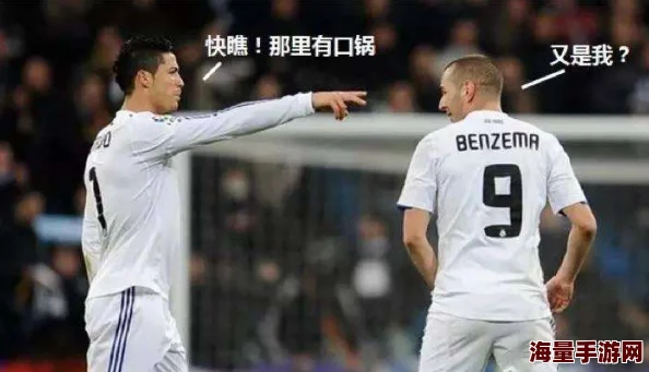 比较分析：胜利足球中本泽马与范佩西，谁的表现更胜一筹？