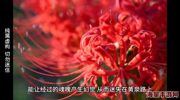 《梦幻西游》地府职业多元玩法选择推荐及高效培养技巧全解析