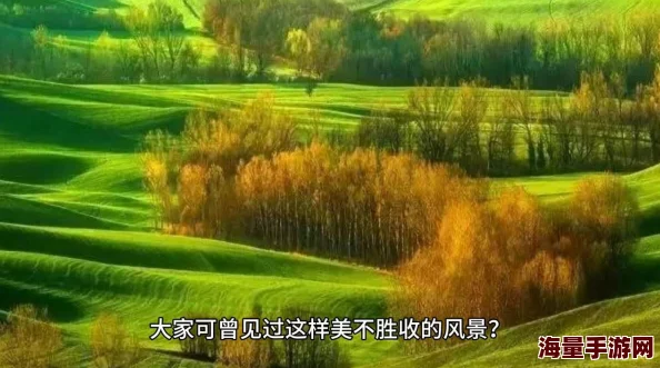 天际冒险队：无尽模式全面玩法内容及特色详细介绍解析
