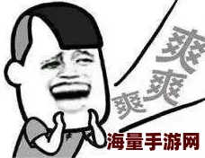 人人爽人人操人人干人人都说好用不后悔