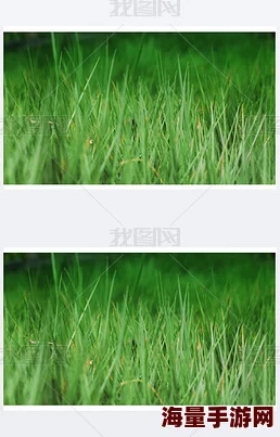 久久久青草青青国产亚洲免观近日引发热议，网友们纷纷讨论其背后的文化意义与社会影响，成为网络热门话题