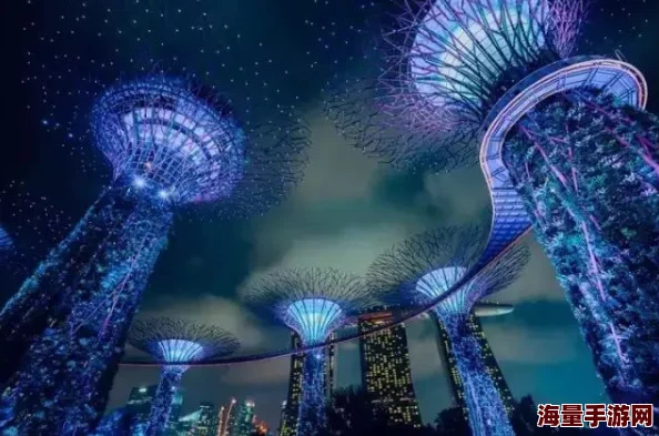 蓝色吸引力抢鲜体验海洋魅力畅游水下世界
