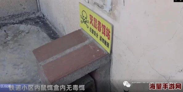 午夜嘿嘿最新研究显示夜间活动有助于提升创造力和解决问题的能力