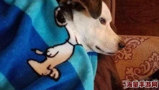 我居然成了反派舔狗国际杀手的真实回忆录勇敢面对过去追求光明未来 我居然成了反派舔狗国际杀手的真实回忆录勇敢面对过去追求光明未来