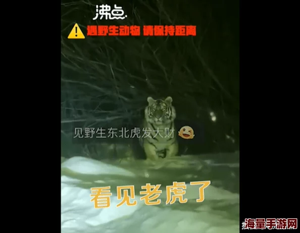 四虎黄色小说噩梦度假屋勇敢面对恐惧迎接美好生活的每一天 四虎黄色小说噩梦度假屋勇敢面对恐惧迎接美好生活的每一天