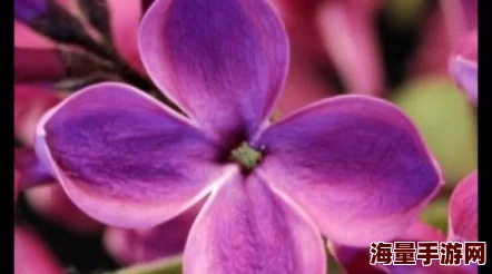 开心婷婷丁香开心旅程仍在继续,更多精彩内容敬请期待 开心婷婷丁香开心旅程仍在继续,更多精彩内容敬请期待