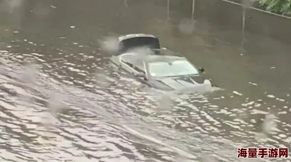 惊喜揭秘！地铁逃生普六竟隶属隐藏阵营，全新情报震撼曝光！