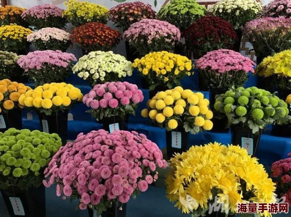 98堂色花堂高手过招高手過招携手共进勇攀高峰创造美好未来 98堂色花堂高手过招高手過招携手共进勇攀高峰创造美好未来