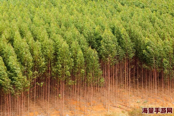 七日世界金矿提炼秘籍大公开!高效获取攻略,更有惊喜快速提炼新技术揭秘 七日世界金矿提炼秘籍大公开!高效获取攻略,更有惊喜快速提炼新技术揭秘