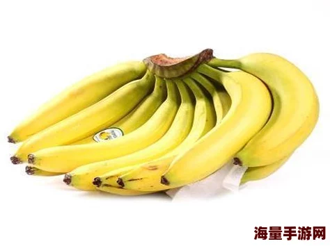 大查蕉近日科学家发现新型香蕉品种具有更高的抗病性和营养价值 大查蕉近日科学家发现新型香蕉品种具有更高的抗病性和营养价值