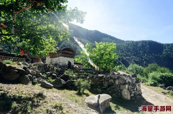 《桃花源记》游戏揭秘：冷门职业逆袭高分秘籍，惊喜策略助你成就不凡之路！