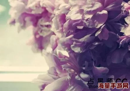 l多肉的糙汉b1h闺蜜2友谊如花绽放，携手共进勇敢追梦