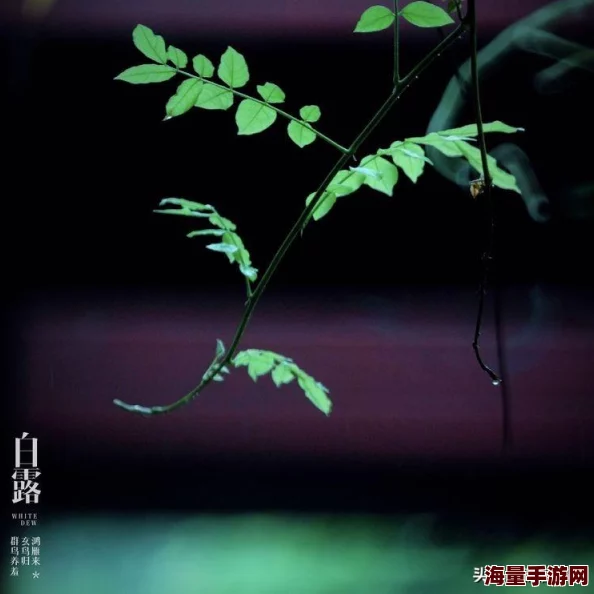 王者荣耀周年庆惊喜爆料：草木风华套系皮肤绝美上线，更有神秘福利等你来领！
